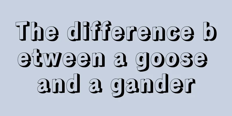 The difference between a goose and a gander