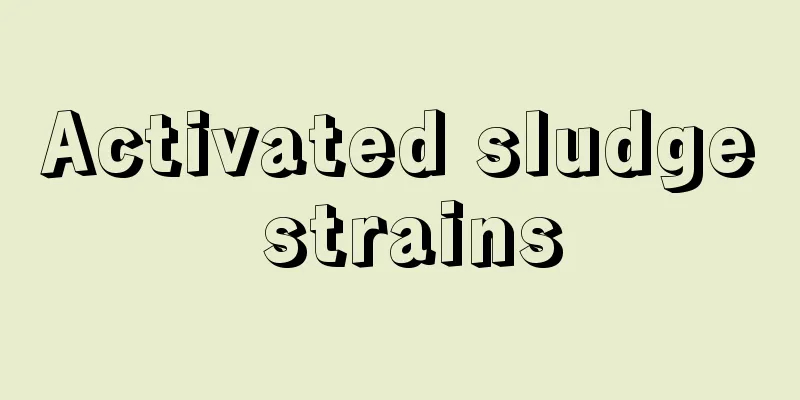 Activated sludge strains