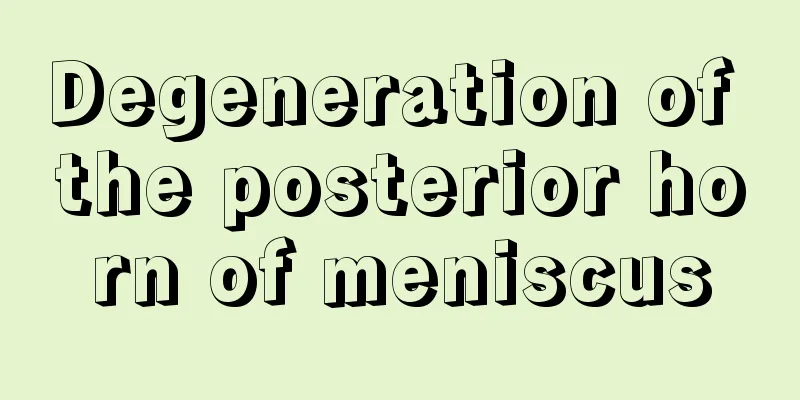 Degeneration of the posterior horn of meniscus