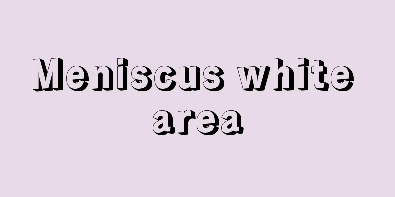 Meniscus white area