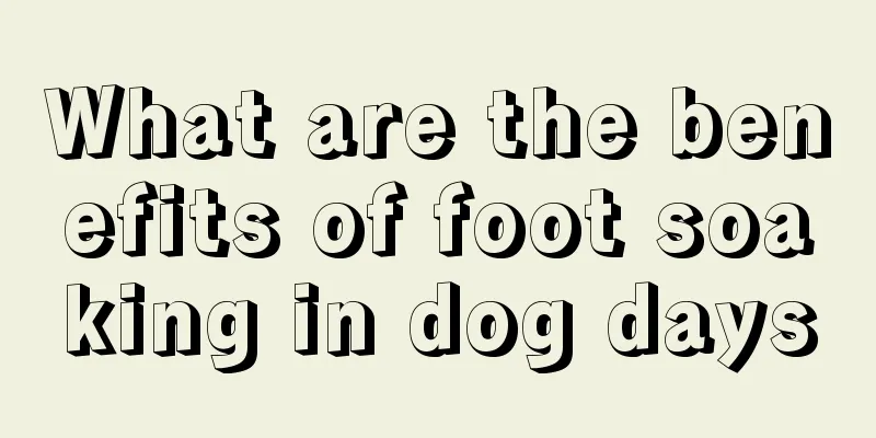 What are the benefits of foot soaking in dog days