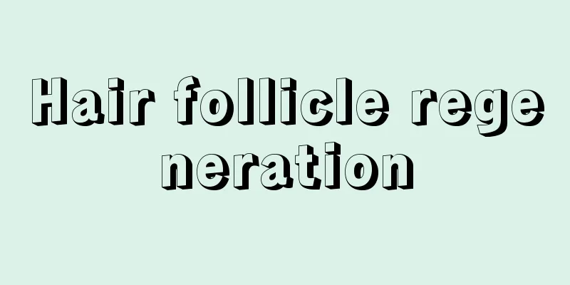 Hair follicle regeneration