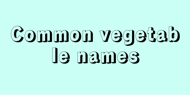 Common vegetable names