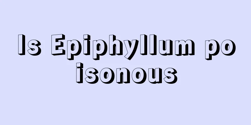 Is Epiphyllum poisonous