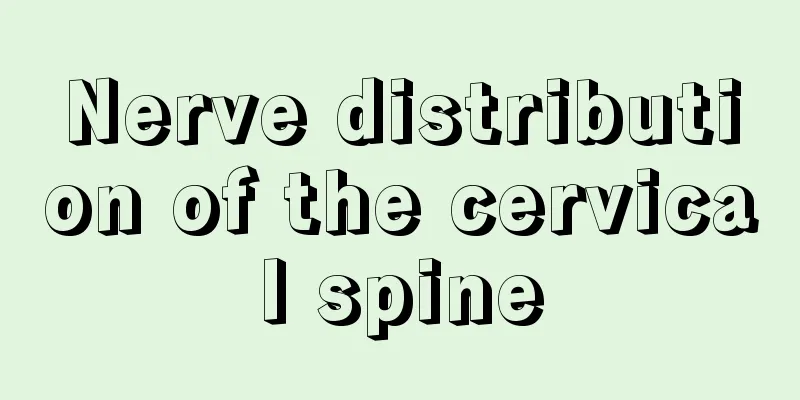 Nerve distribution of the cervical spine