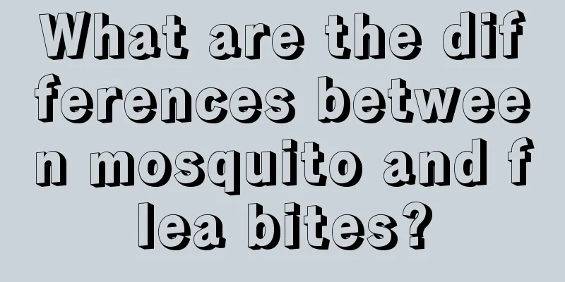 What are the differences between mosquito and flea bites?