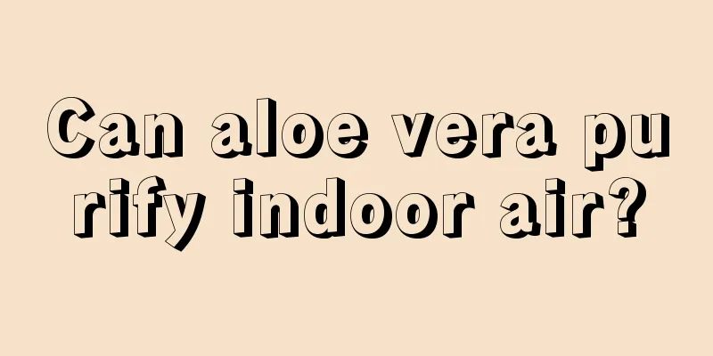 Can aloe vera purify indoor air?