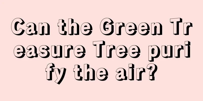Can the Green Treasure Tree purify the air?