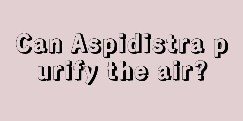 Can Aspidistra purify the air?