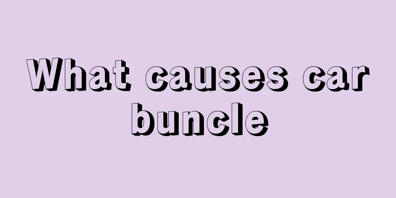 What causes carbuncle