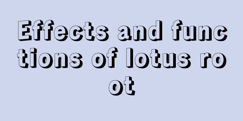 Effects and functions of lotus root