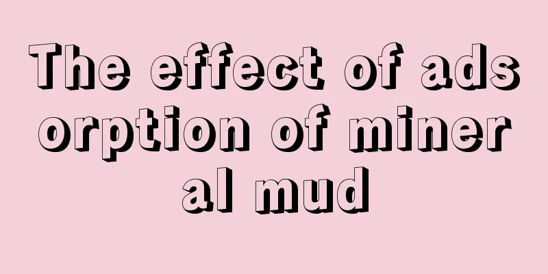 The effect of adsorption of mineral mud