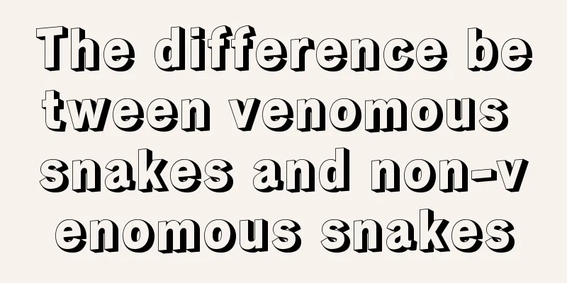 The difference between venomous snakes and non-venomous snakes