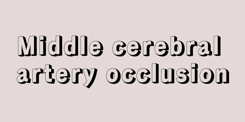 Middle cerebral artery occlusion