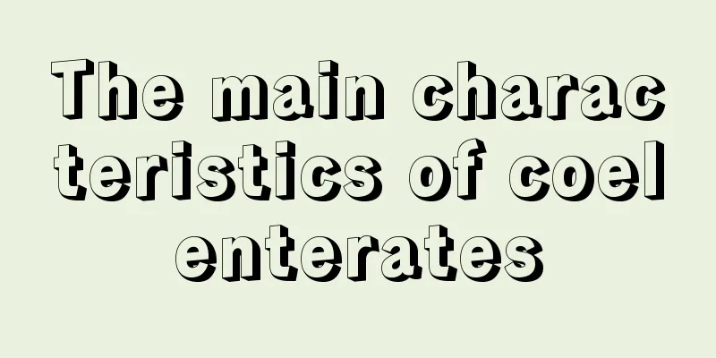 The main characteristics of coelenterates