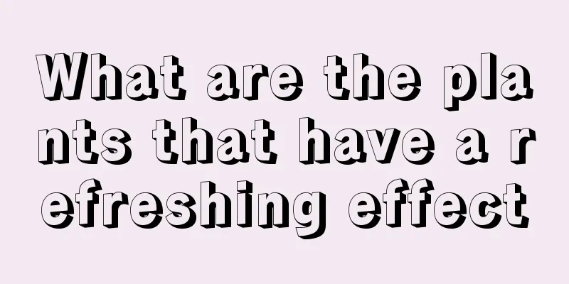 What are the plants that have a refreshing effect