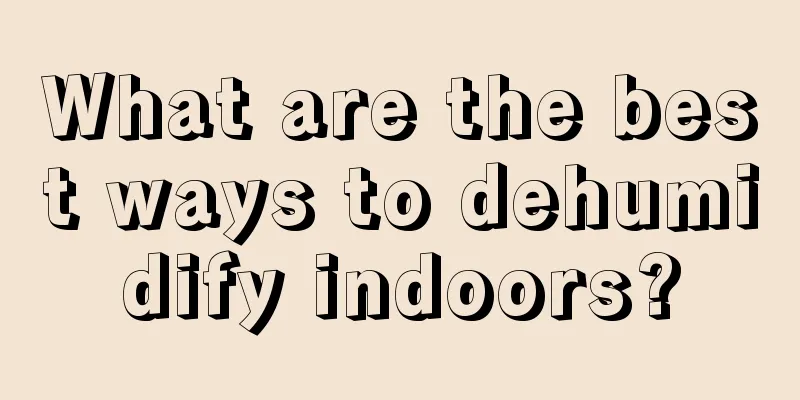 What are the best ways to dehumidify indoors?