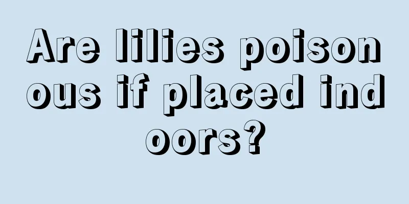 Are lilies poisonous if placed indoors?