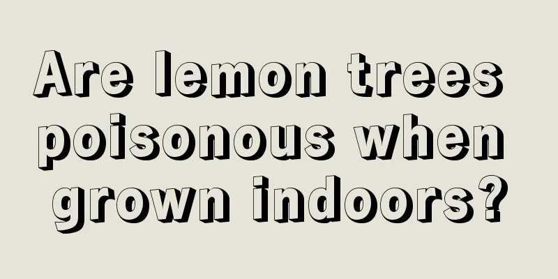 Are lemon trees poisonous when grown indoors?