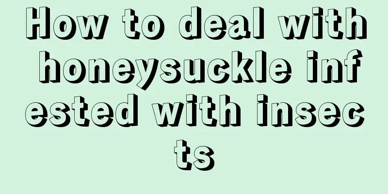 How to deal with honeysuckle infested with insects