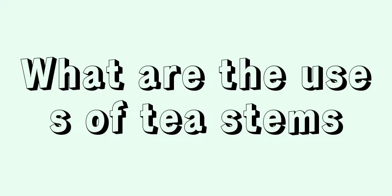 What are the uses of tea stems