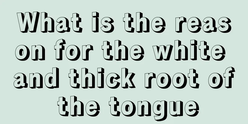 What is the reason for the white and thick root of the tongue