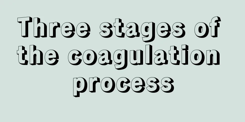 Three stages of the coagulation process