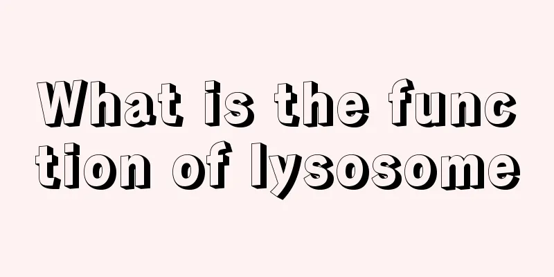 What is the function of lysosome