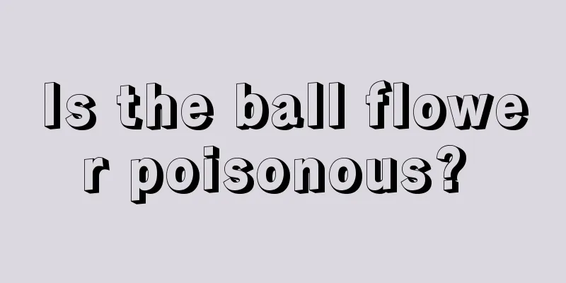 Is the ball flower poisonous? 