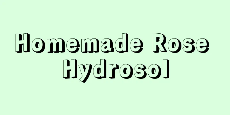 Homemade Rose Hydrosol