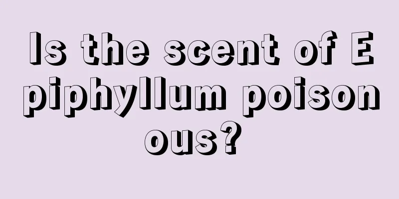 Is the scent of Epiphyllum poisonous? 