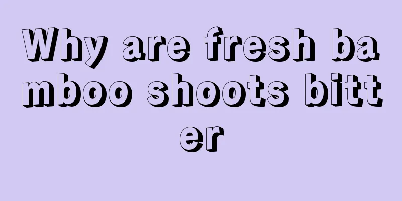 Why are fresh bamboo shoots bitter