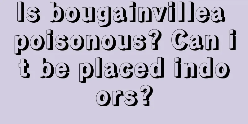 Is bougainvillea poisonous? Can it be placed indoors?