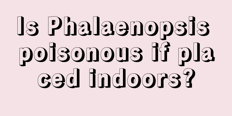 Is Phalaenopsis poisonous if placed indoors?