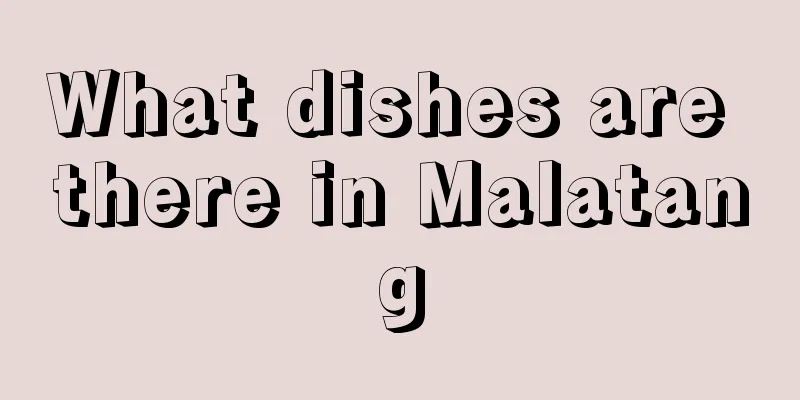 What dishes are there in Malatang