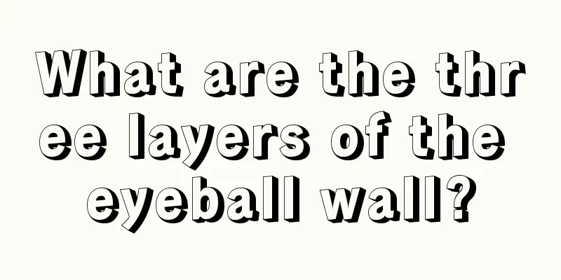 What are the three layers of the eyeball wall?