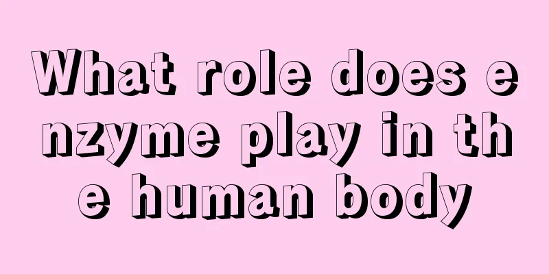 What role does enzyme play in the human body