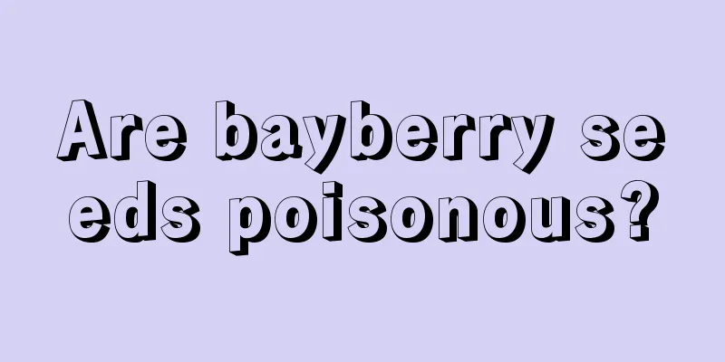 Are bayberry seeds poisonous?