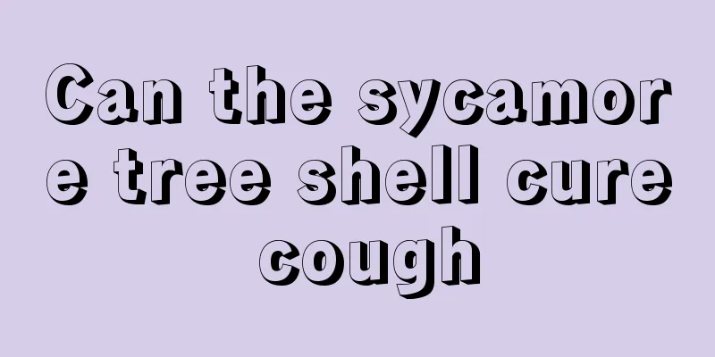 Can the sycamore tree shell cure cough