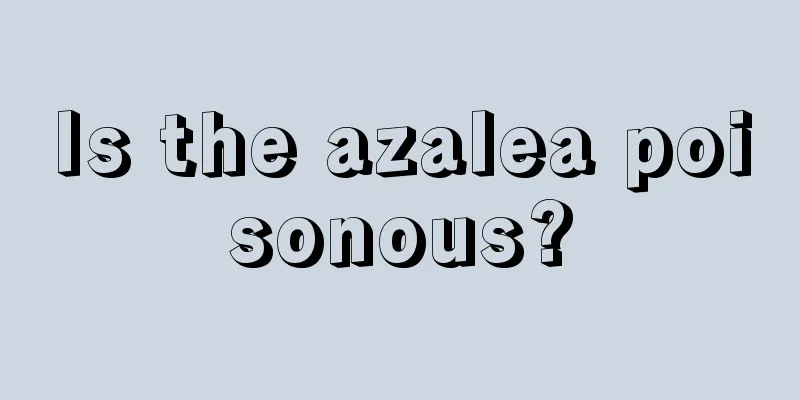 Is the azalea poisonous?