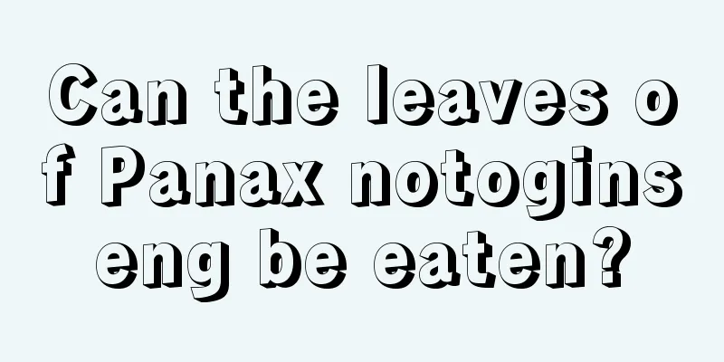 Can the leaves of Panax notoginseng be eaten?
