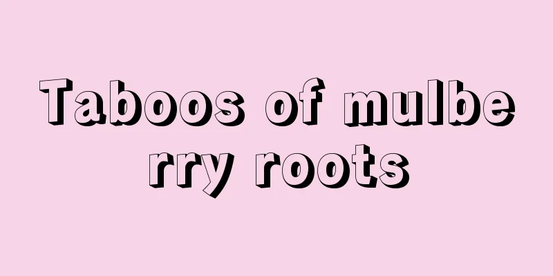 Taboos of mulberry roots