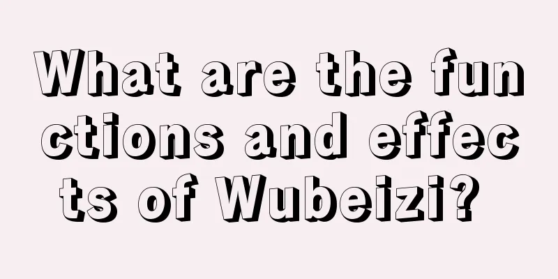 What are the functions and effects of Wubeizi? 