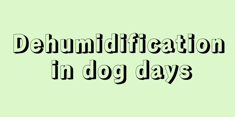Dehumidification in dog days