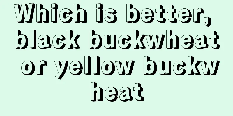 Which is better, black buckwheat or yellow buckwheat