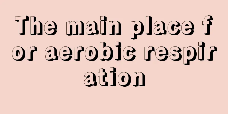 The main place for aerobic respiration