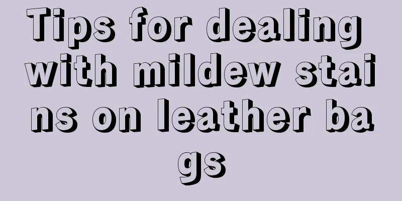 Tips for dealing with mildew stains on leather bags