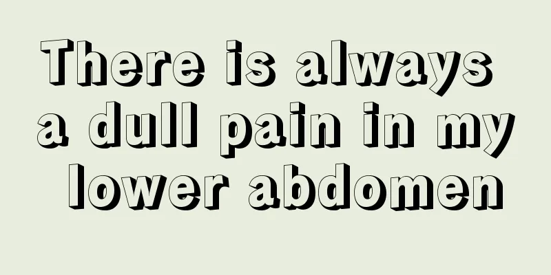 There is always a dull pain in my lower abdomen