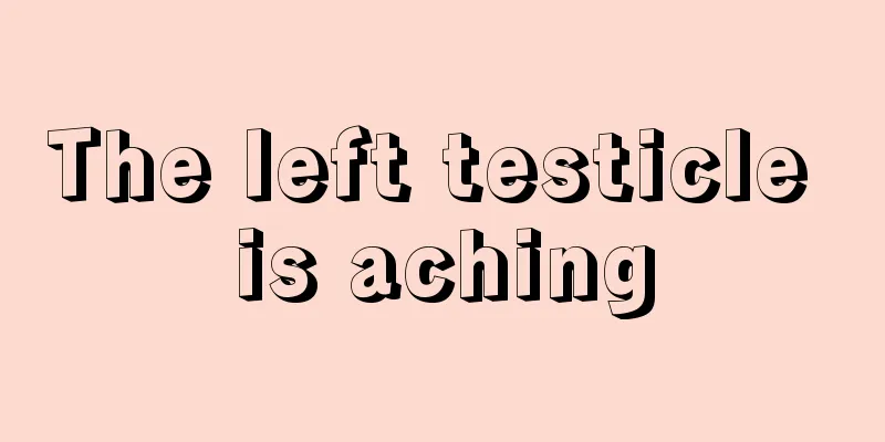 The left testicle is aching