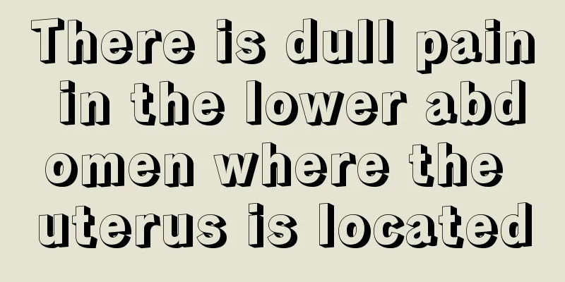 There is dull pain in the lower abdomen where the uterus is located